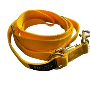 Basic Leine für große Hunde - Sonnengelb