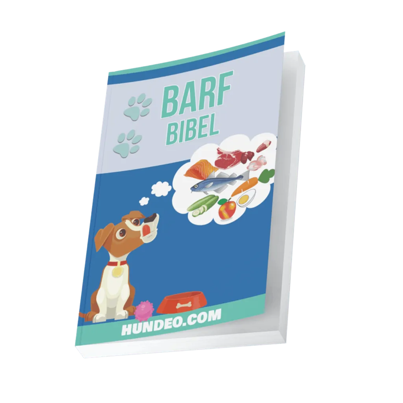 barf-bibel-mittig-1536x1536