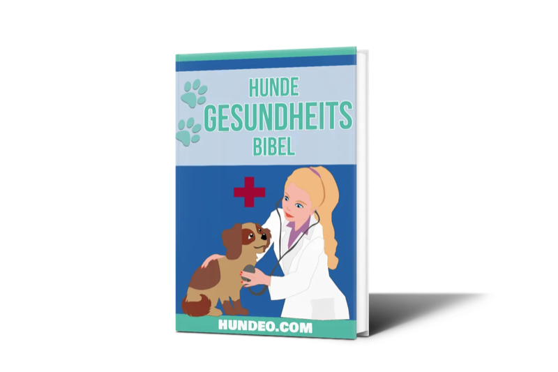 hunde-gesundheits-bibel-42-1